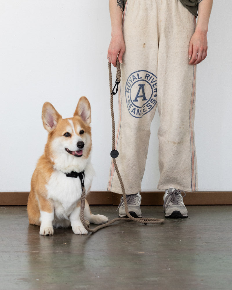 Matte Black and Natural Rope Leash